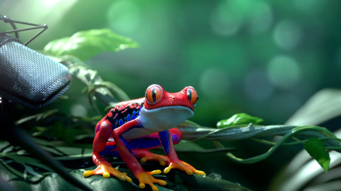 TCL - a red frog
